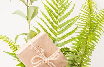 Eco-Friendly Gift Ideas: The Art of Sustainable Giving